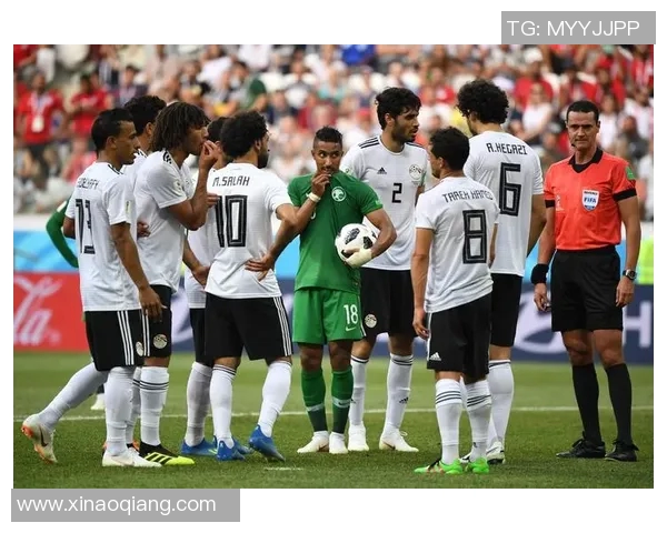 埃及与沙特精彩对决全场视频回顾及精彩瞬间分析
