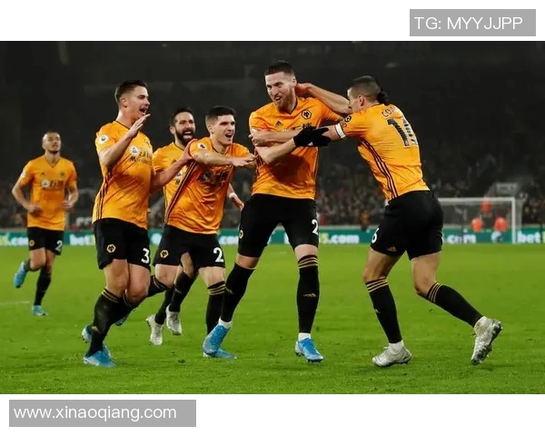 布莱顿对阵狼队赛事分析与推荐策略详解