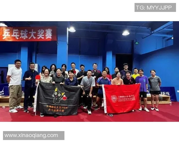 广州乒乓球队防反策略分析及其在比赛中的得失表现探讨MBA 广州乒乓球队防反策略分析及其在比赛中的得失表现探讨MBA