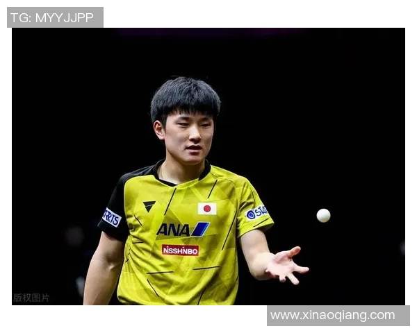 波尔与张本智和精彩对决视频回顾乒乓球巅峰对决不容错过 波尔与张本智和精彩对决视频回顾乒乓球巅峰对决不容错过