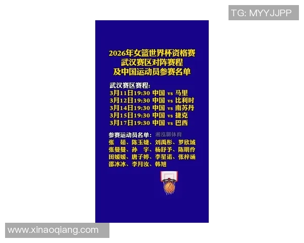 武汉篮球队表现卓越最新篮球比赛经验排名前十揭晓