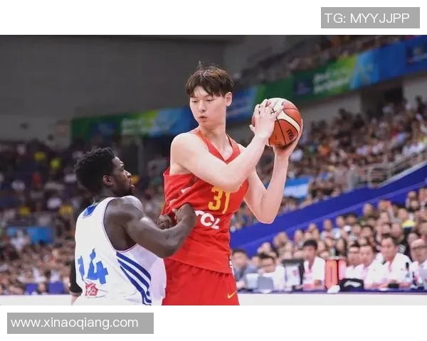 王哲林的篮球之路:从天赋少年到CBA巨星的成长历程与挑战