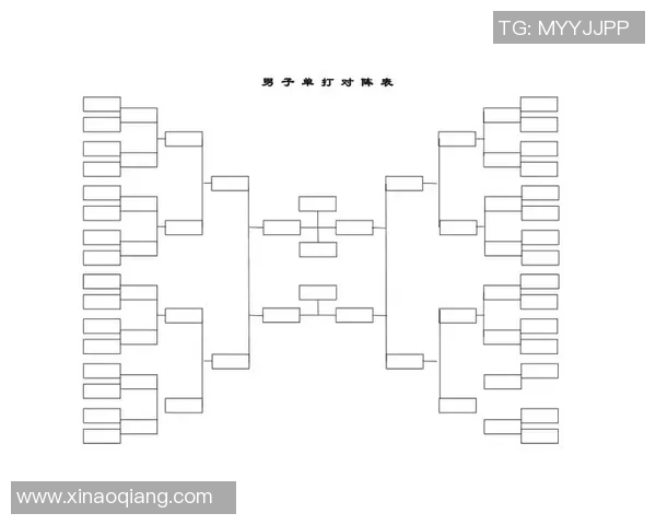 羽毛球专题:深入分析上海羽毛球队的战术布局与比赛策略