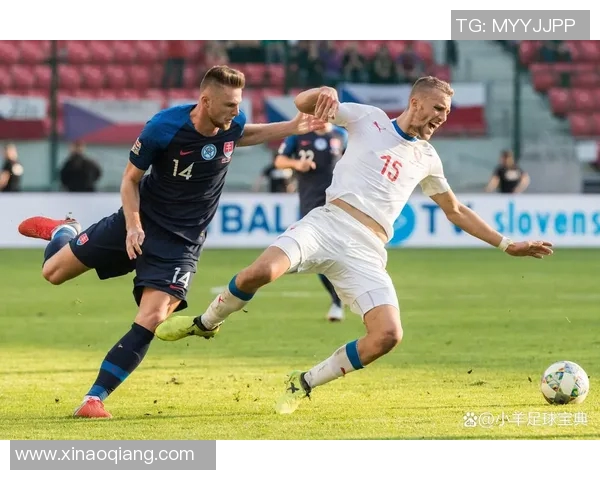 荷兰与匈牙利篮球赛精彩对决回顾与分析