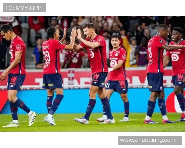 里昂与里尔历史交锋回顾及战绩分析探讨两队对决的精彩瞬间