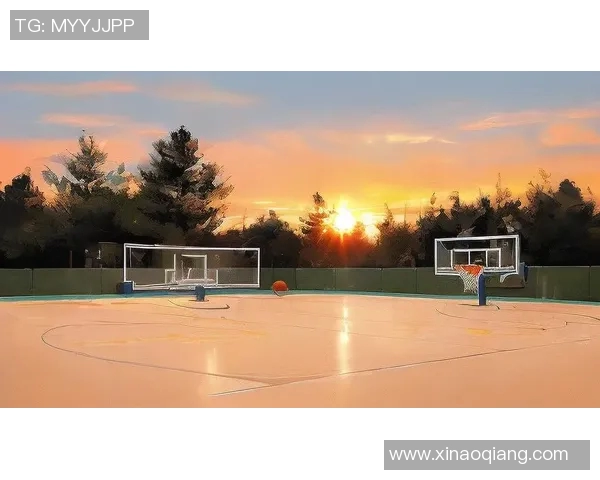 拼篮球明星展现激情与梦想的赛场传奇之旅