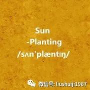 乐评人大讨论：第三届浪潮音乐大赏随乐坛变迁的多元化与时代性(图14)